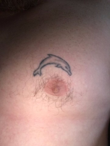 dolphin-nip.JPG