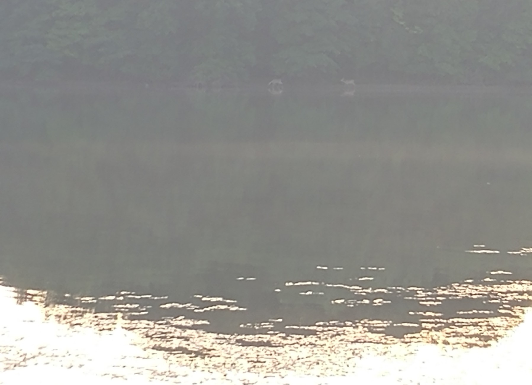 08281807082.jpg