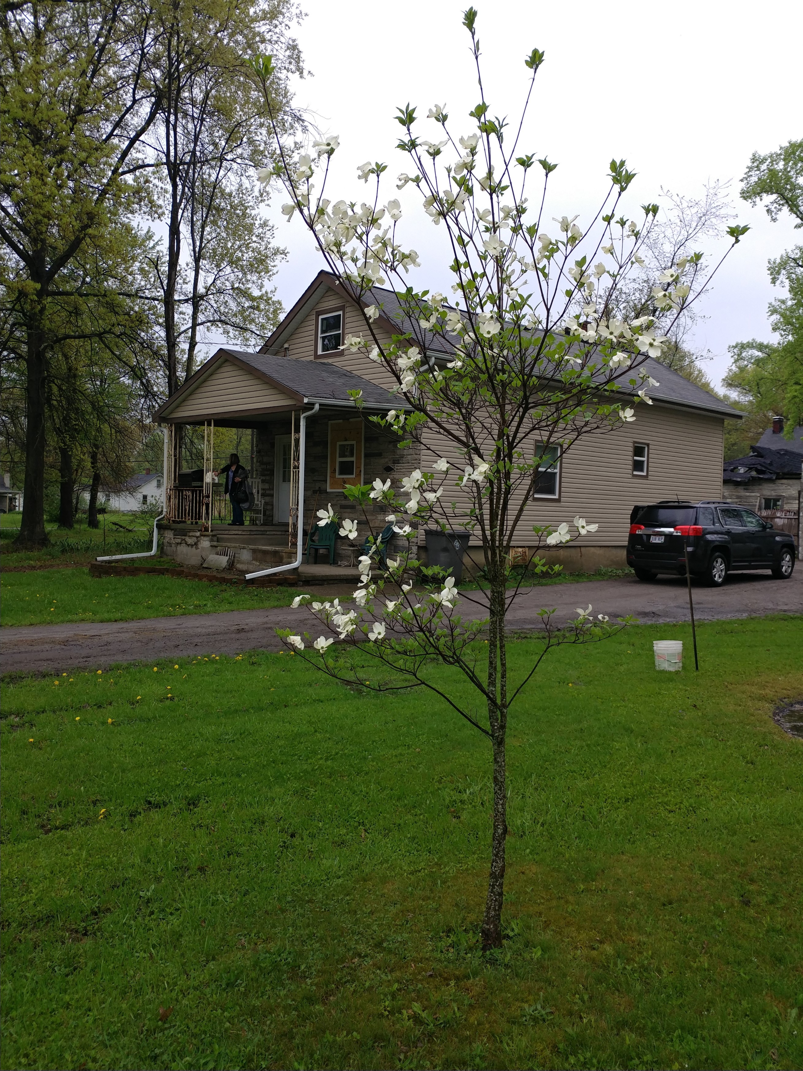 siding-driveway.jpg