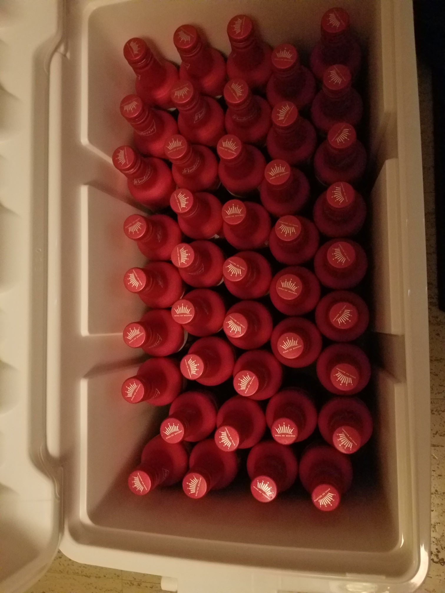 70192.jpeg 70192.jpeg