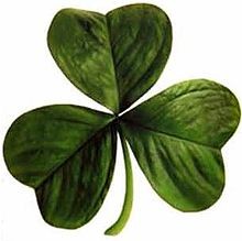 220px-Irish_clover.jpg 220px-Irish_clover.jpg