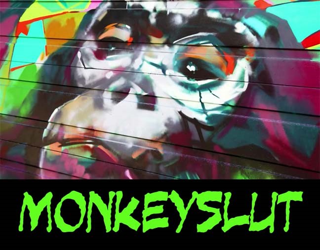 MONKEYSLUT.jpg