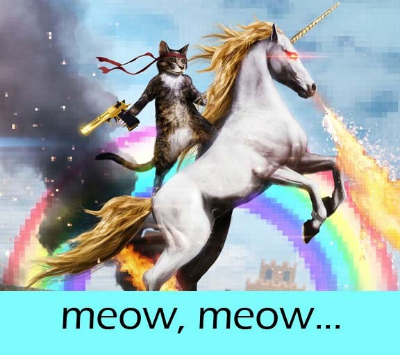 meowmeow-1.jpg meowmeow-1.jpg