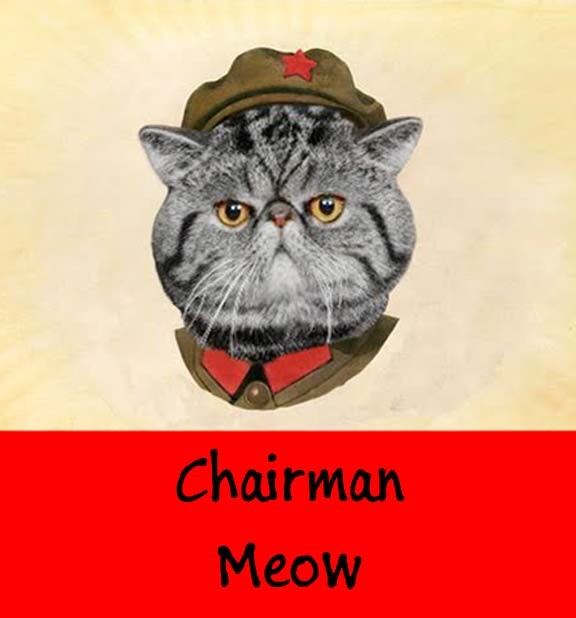 Chairman-Meow.jpg