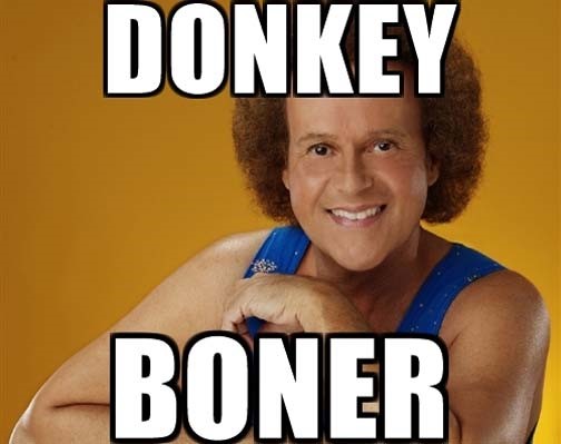 Donkey-Boner.jpg