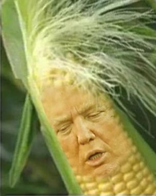 Oops.jpg Oops.jpg