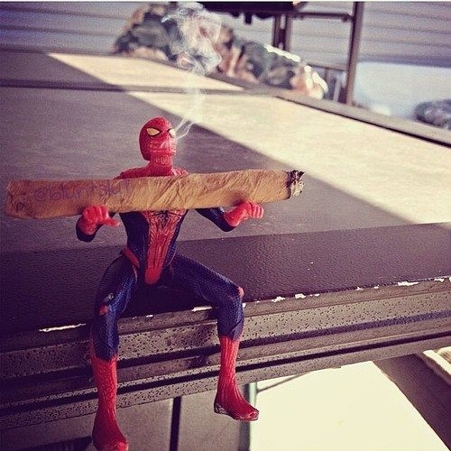 spidey-loves-mary-jane-we-all-know-spiderman-loves-maryjane.jpg spidey-loves-mary-jane-we-all-know-spiderman-loves-maryjane.jpg