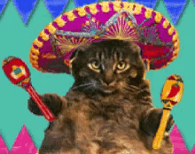 Cultural-Appropriation-Pussy.gif