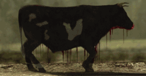 Beef.gif Beef.gif