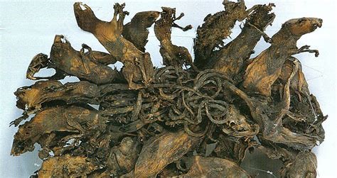 Rat-King.jpg Rat-King.jpg