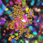 Art.gif Art.gif