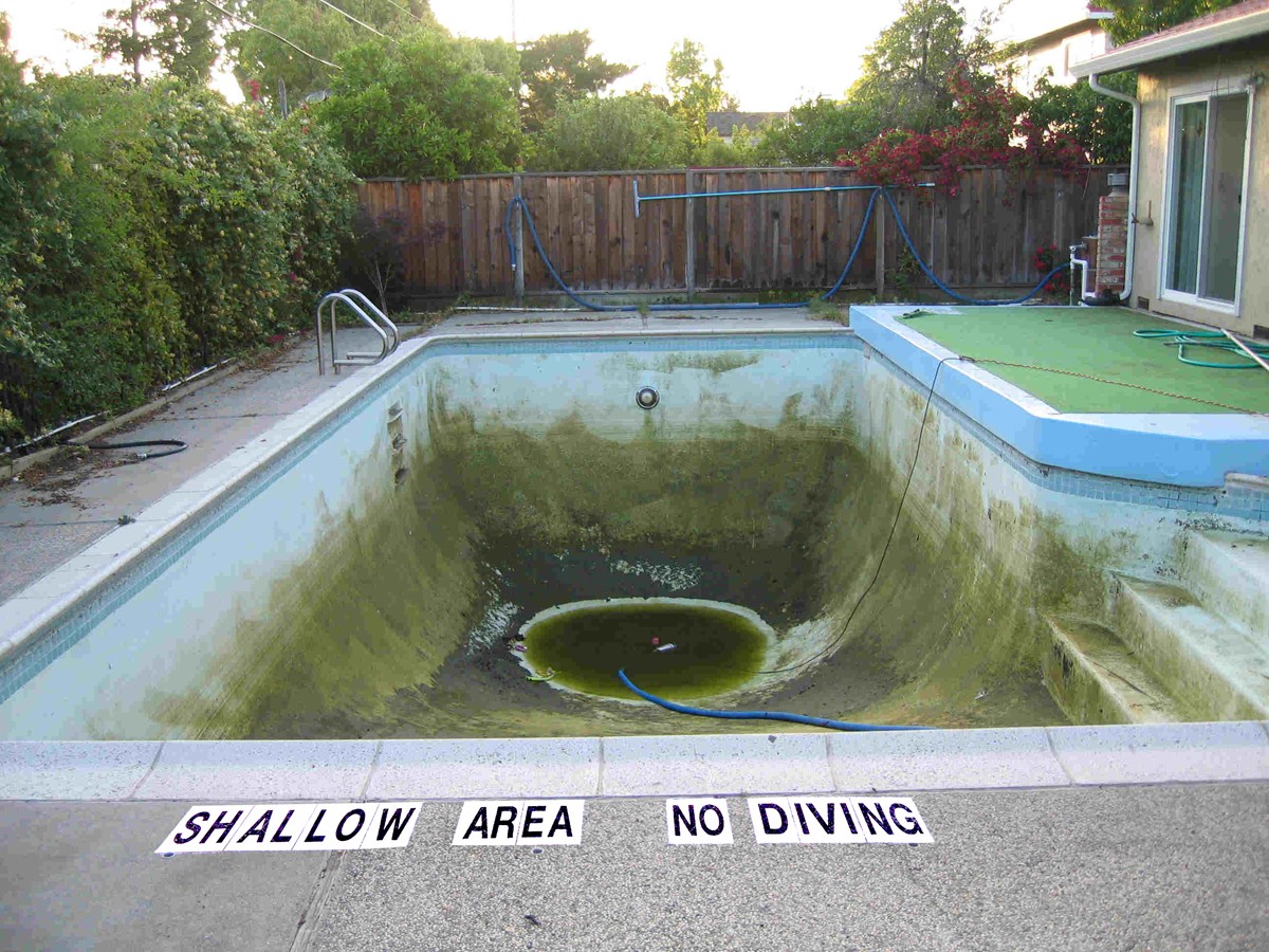 Shallow.jpg Shallow.jpg