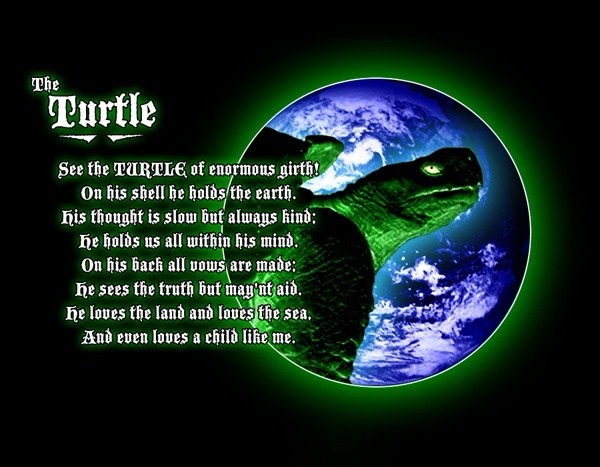 Maturin_the_Turtle.jpg