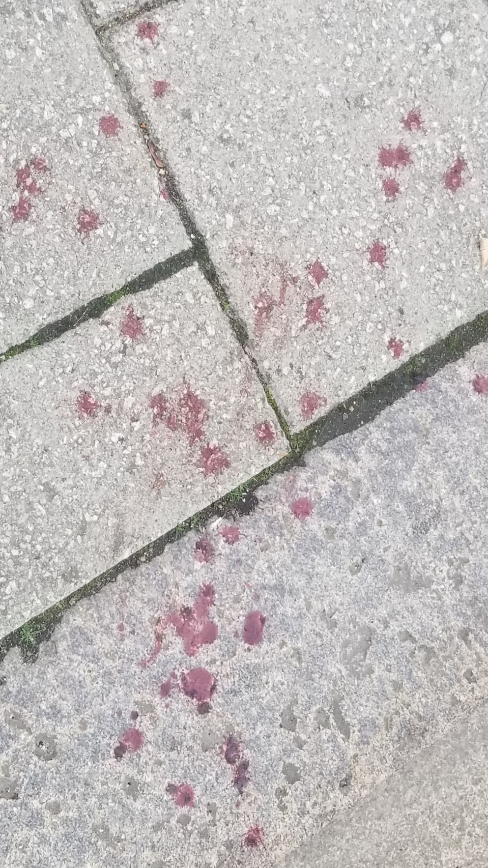 20181016_154913.jpg