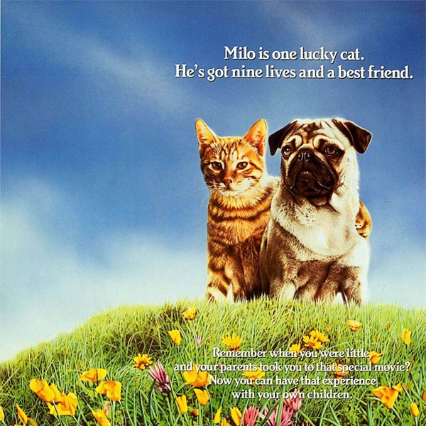 milo-and-otis-01.jpg