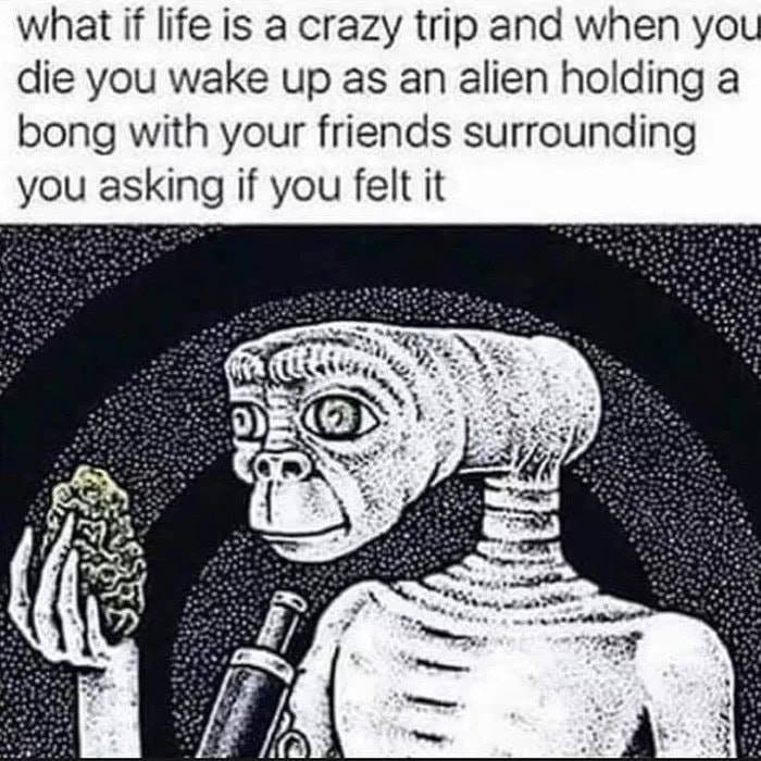 4d6495d624574621af1da70c9d2b741b19bef4bd9ec0c7df1607f496254975c1.jpg