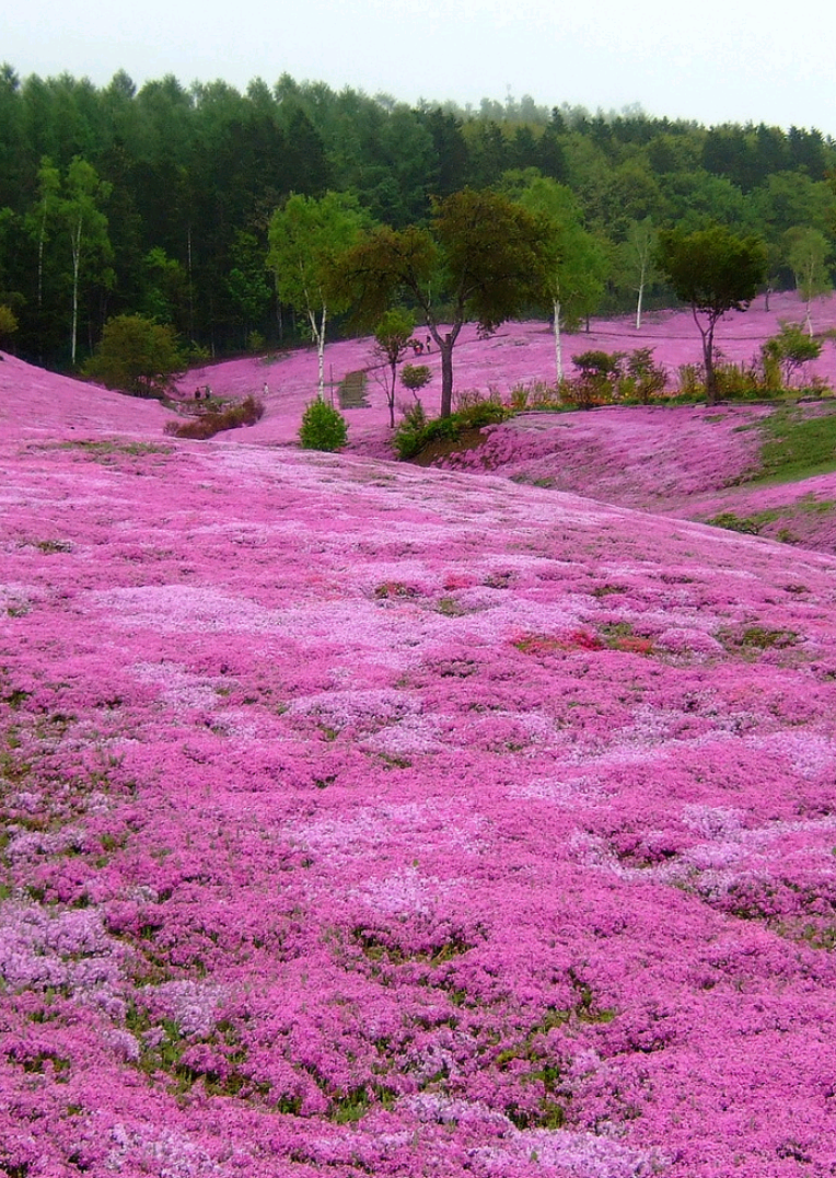 255ac1f0a2613636d24011ccc0e135ea.png 255ac1f0a2613636d24011ccc0e135ea.png