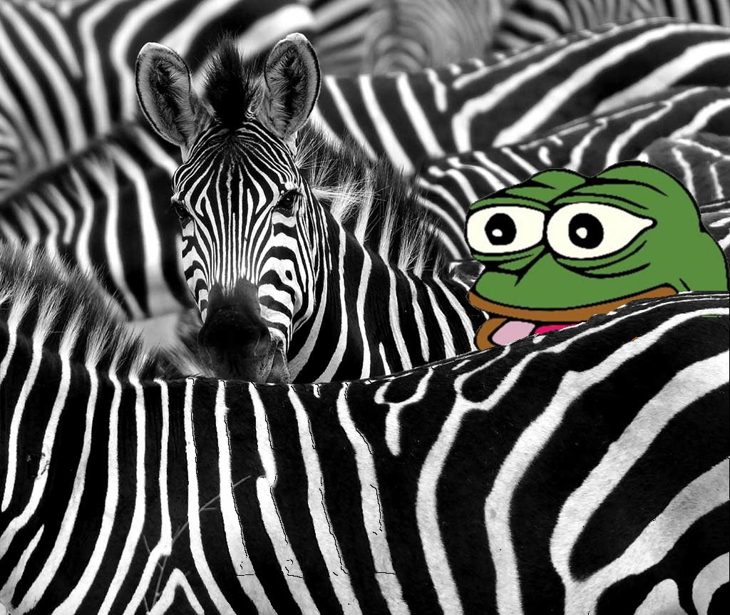 0f831601edcd0fd3a0ea353d1e413203ee30c0b5d42fbd0890eea84189e2fa13.jpg