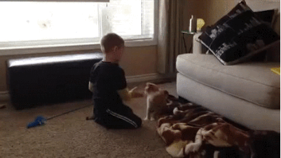 43d851cf9cfcc73cddf23589ddafed58.gif