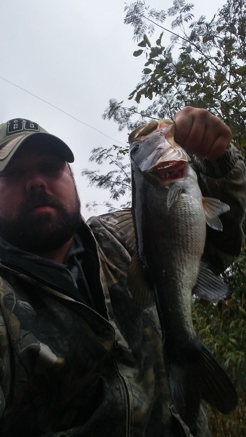 20181026_175718_HDR.jpg 20181026_175718_HDR.jpg