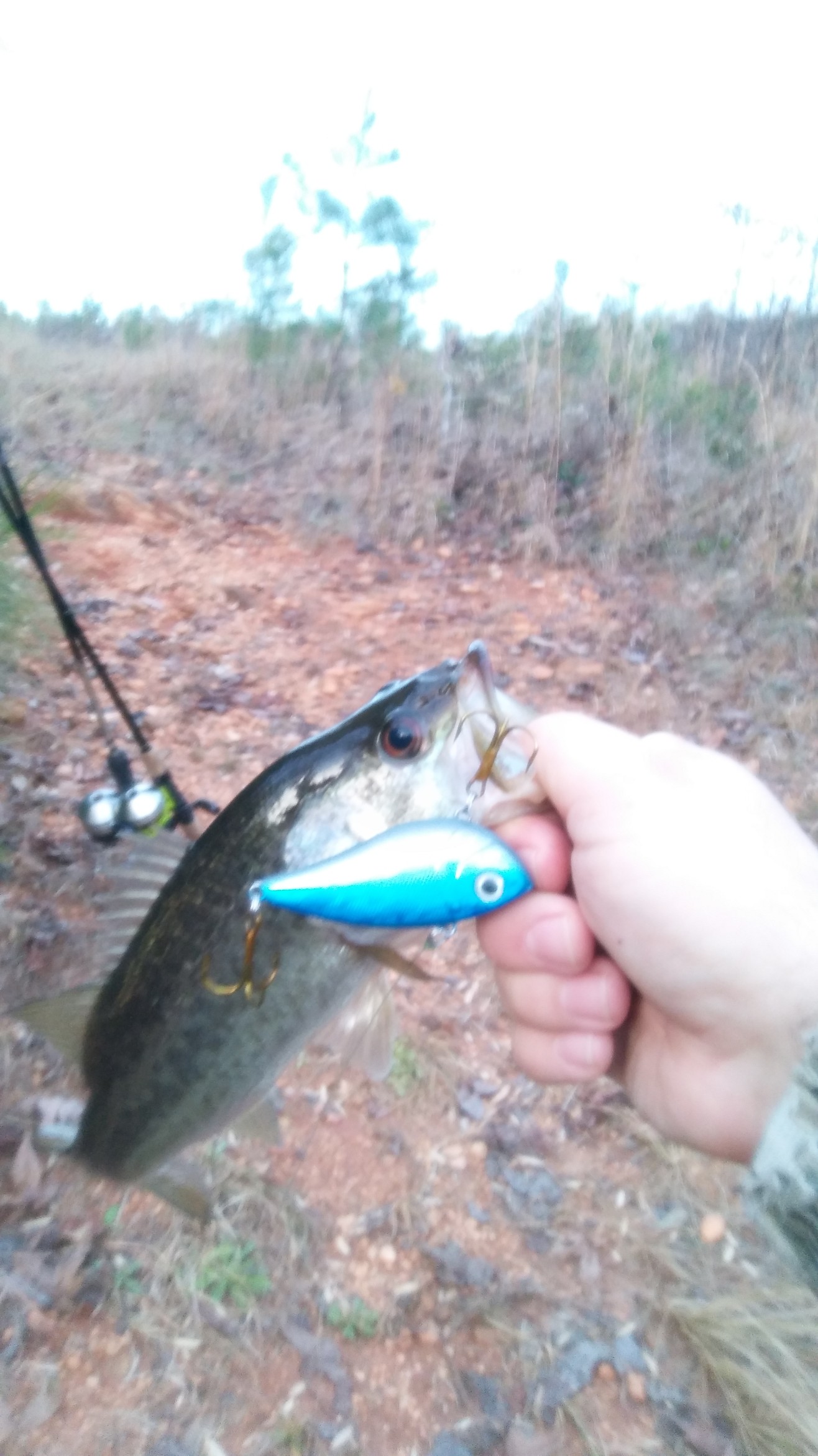 20181206_170404.jpg 20181206_170404.jpg